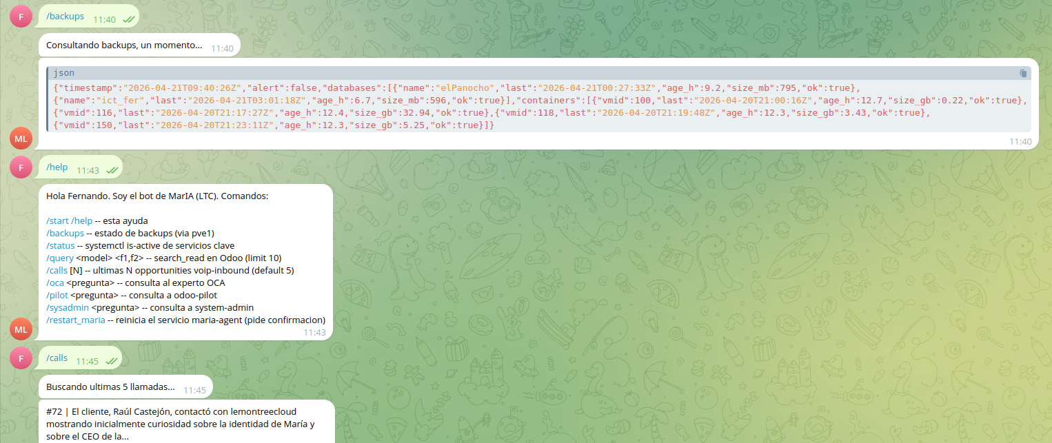 Bot de Telegram @maria_ltc_bot respondiendo a comandos operativos