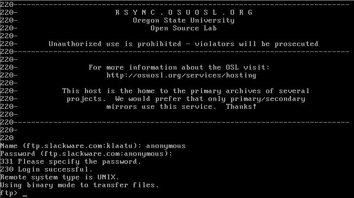 Terminal de Slackware